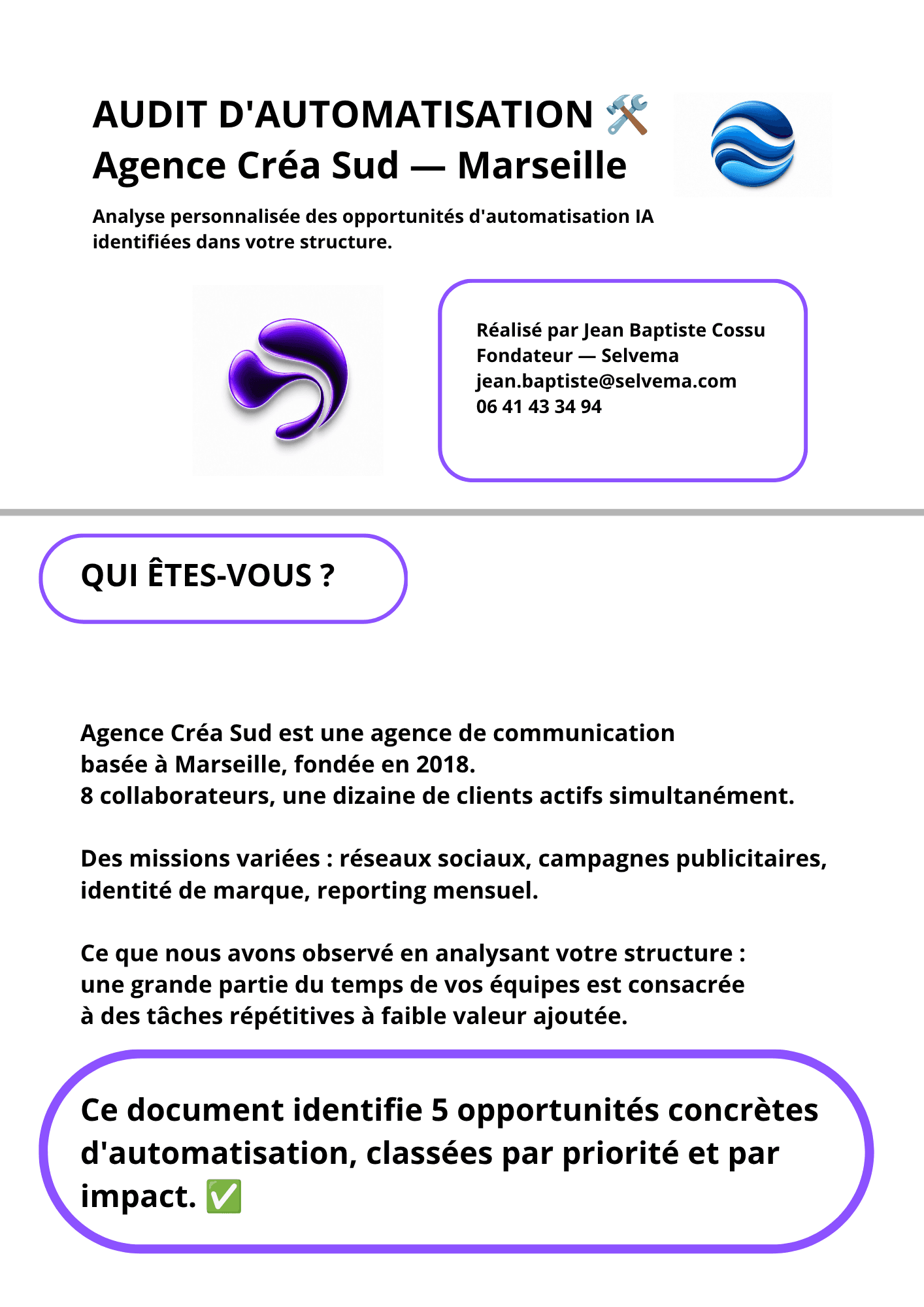 Exemple d'audit Selvema — page 1